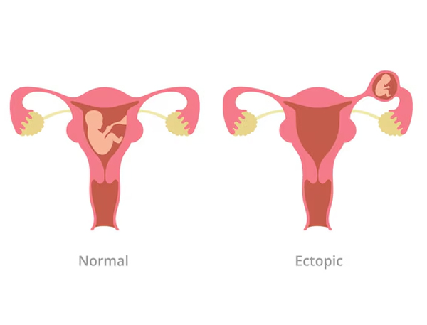 Clinical & Obstetric Care